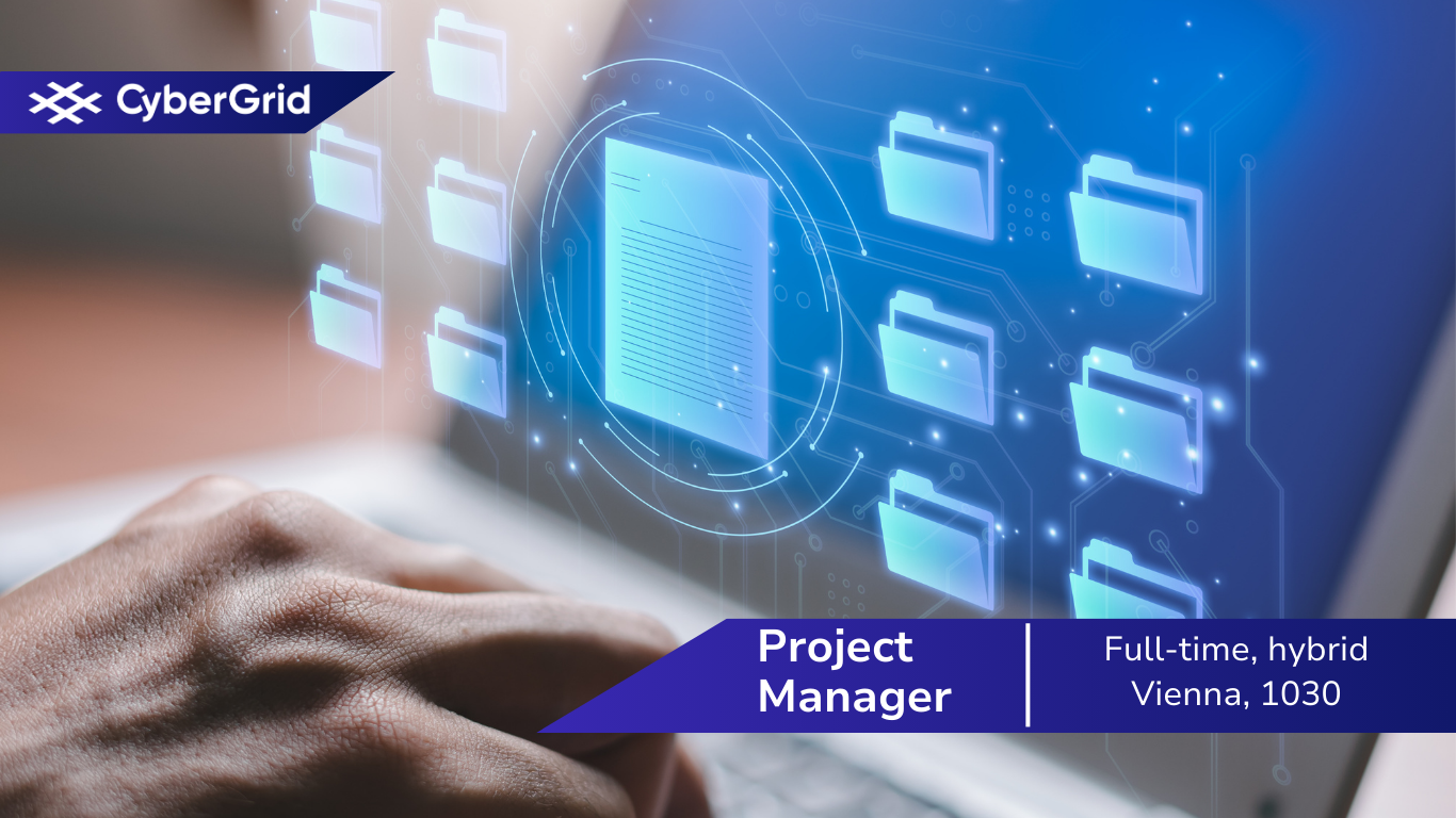 Job offer as Project Manager